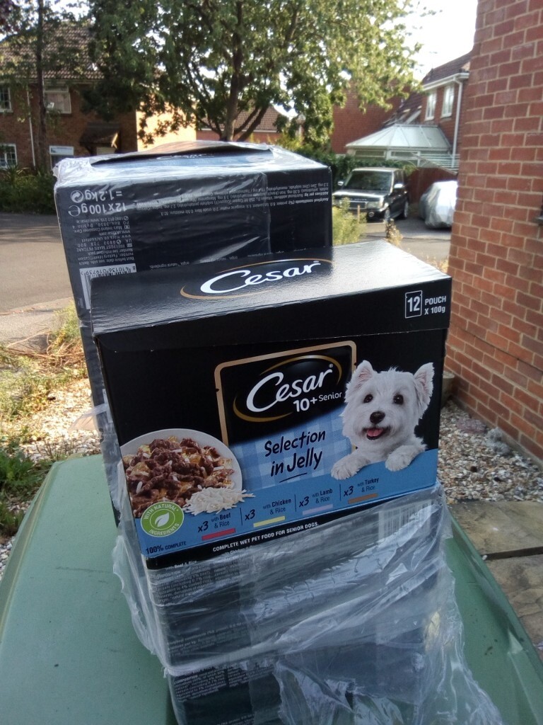cesar senior dog food